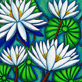 Pond Jewels