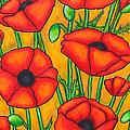 Poppies Under the Tuscan Sun