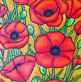 Tuscan Poppies - Crop 1